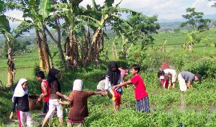 Pertanian, Ladang Zikir Santri Milenia